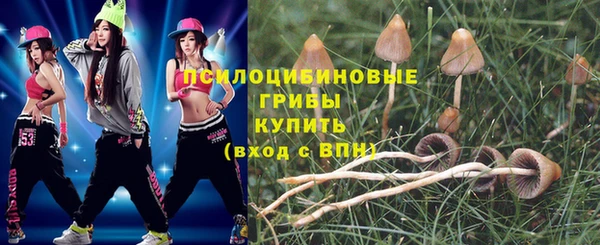 экстази Коряжма