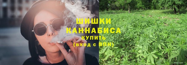 прущие грибы Кодинск