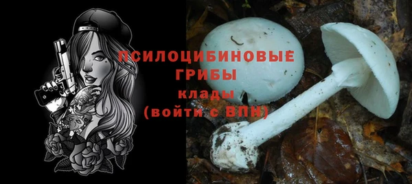 прущие грибы Кодинск