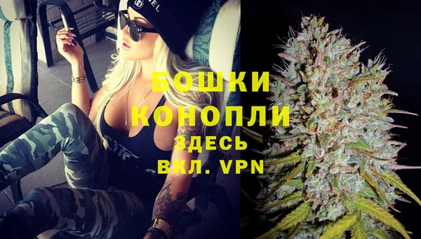 прущие грибы Кодинск