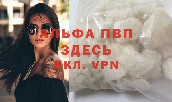 прущие грибы Кодинск