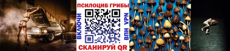 mega ссылки  Калининец  Галлюциногенные грибы Cubensis 